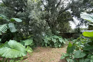 607 Ohio Blvd, Eustis, FL 32726 - Photo 11
