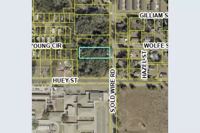 323 S Old Wire Road, Wildwood, FL 34785 - Photo 3