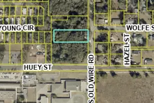 323 S Old Wire Rd, Wildwood, FL 34785 - Photo 3