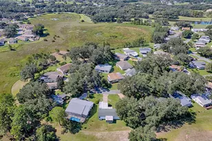 25524 Belle Helene, Leesburg, FL 34748 - Photo 39
