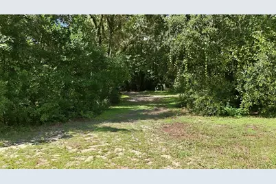 44535 State Road 19, Altoona, FL 32702 - Photo 3