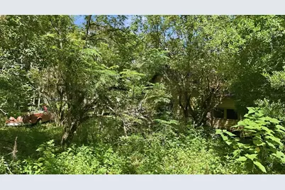 44535 State Road 19, Altoona, FL 32702 - Photo 7