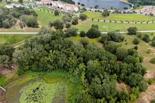 Tbd Lot 6 Keene Rd, Altoona, FL 32702 - Photo 25