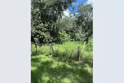 Tbd NW 110th Street, Reddick, FL 32686 - Photo 9