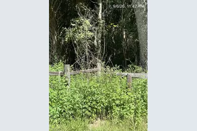 Tbd NW 110th Street, Reddick, FL 32686 - Photo 7