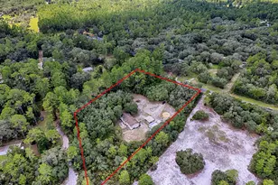 15875 NE 148th Terrace Rd, Fort Mc Coy, FL 32134 - Photo 41