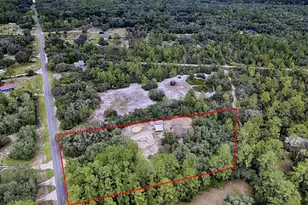 15875 NE 148th Terrace Rd, Fort Mc Coy, FL 32134 - Photo 43