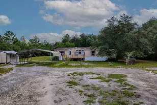 15875 NE 148th Terrace Rd, Fort Mc Coy, FL 32134 - Photo 45