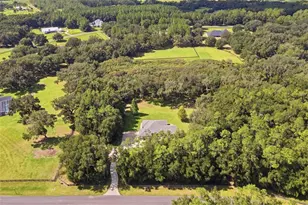 10594 NE 104th Cir, Oxford, FL 34484 - Photo 51
