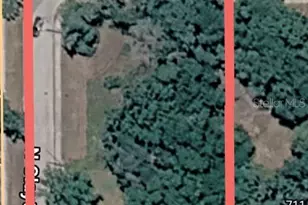 0 N Clayton St, Mount Dora, FL 32757 - Photo 1