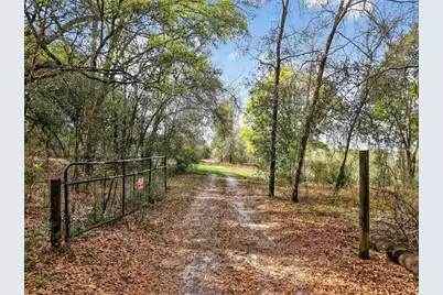 Island Pond Lane, Eustis, FL 32736 - Photo 5