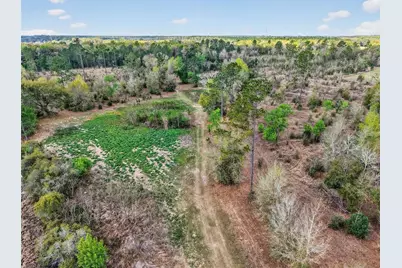 Island Pond Lane, Eustis, FL 32736 - Photo 17