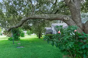 2311 Bonnie View Ct, Leesburg, FL 34788 - Photo 41