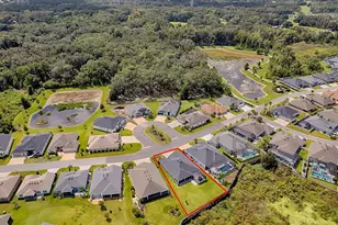 3075 Licciardello Path, The Villages, FL 32163 - Photo 51