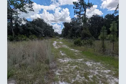 Xxx Wedgewood Circle, Mount Dora, FL 32757 - Photo 3