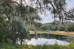 [Address not provided], Lady Lake, FL 32159 - Photo 17