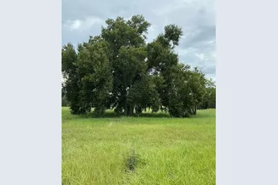 Water Crest Court, Groveland, FL 34736 - Photo 11