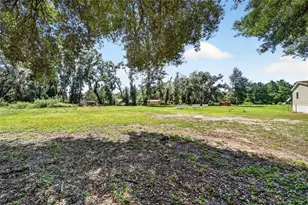 36628 Orange St, Leesburg, FL 34788 - Photo 63