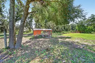 36628 Orange St, Leesburg, FL 34788 - Photo 59