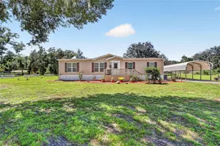 36628 Orange St, Leesburg, FL 34788 - Photo 5