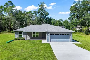 6 Bay Pass Terrace, Ocklawaha, FL 32179 - Photo 1