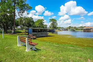 709 Bengal Ave, Tavares, FL 32778 - Photo 67