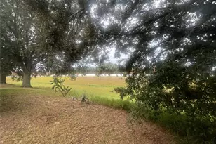 237 Walpole Loop, Davenport, FL 33897 - Photo 35