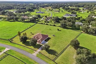 2679 NE 108th Ln, Oxford, FL 34484 - Photo 65