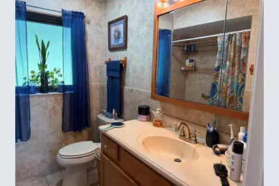 521 E Mirror Lake Drive, Fruitland Park, FL 34731 - Photo 17