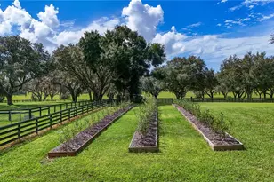38224 Journey Ln, Lady Lake, FL 32159 - Photo 81