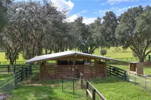 38224 Journey Ln, Lady Lake, FL 32159 - Photo 83