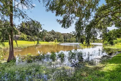 2314 Hillside Drive, Mount Dora, FL 32757 - Photo 41