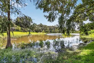 2314 Hillside Dr, Mount Dora, FL 32757 - Photo 41