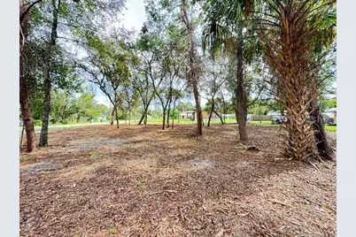 Luella Avenue, Paisley, FL 32767 - Photo 11