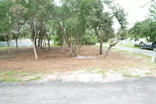 Luella Ave, Paisley, FL 32767 - Photo 1