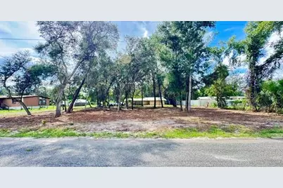Luella Avenue, Paisley, FL 32767 - Photo 3