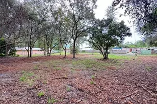Luella Ave, Paisley, FL 32767 - Photo 1
