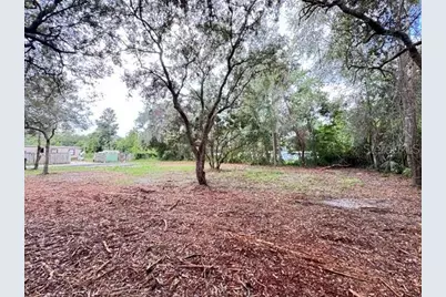 Luella Avenue, Paisley, FL 32767 - Photo 7