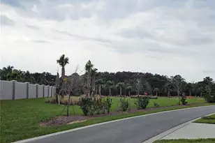 12295 Bracco St, Winter Garden, FL 34787 - Photo 43
