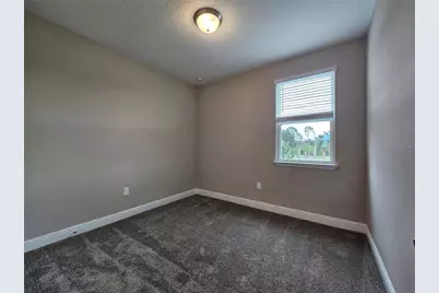 12295 Bracco Street, Winter Garden, FL 34787 - Photo 29
