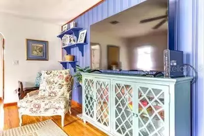 111 S Clayton Street, Mount Dora, FL 32757 - Photo 21