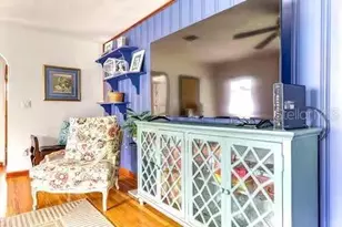 111 S Clayton St, Mount Dora, FL 32757 - Photo 21
