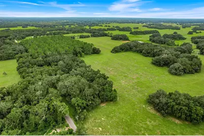 1382 Cr 722, Webster, FL 33597 - Photo 11