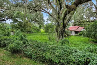 1382 Cr 722, Webster, FL 33597 - Photo 7
