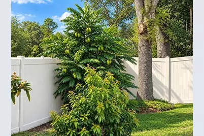 4408 Aruba Boulevard, Clermont, FL 34711 - Photo 29