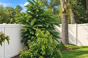 4408 Aruba Blvd, Clermont, FL 34711 - Photo 29