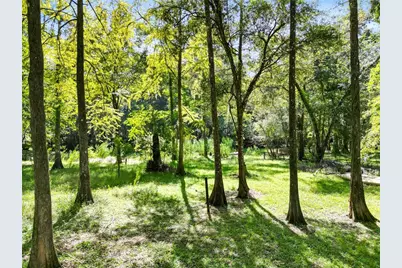 8370 Cr 647, Bushnell, FL 33513 - Photo 5