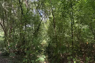 0 SE 118th Pl, Belleview, FL 34420 - Photo 1