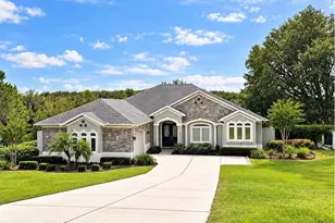 17710 Palm View Cir, Mount Dora, FL 32757 - Photo 1