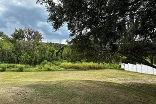 17710 Palm View Cir, Mount Dora, FL 32757 - Photo 67
